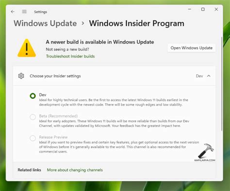 Stop Receiving Insider Builds In Windows 11 And Switch To Stable Version