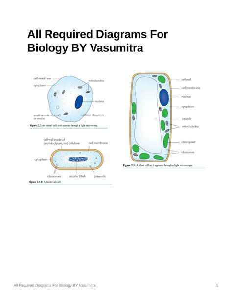 Solution Biology Igcse All Diagrams Studypool