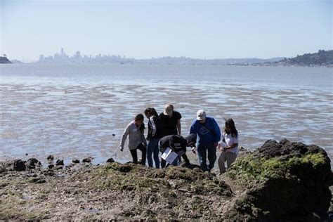 EOS Center: Bay Shore Studies Field Trip Reservations - 4 MAR 2020