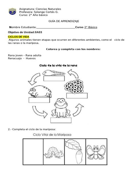 Guia Ciencias Naturales Ciclos De Vida Pdf