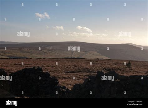 The Cat Fiddle Hi Res Stock Photography And Images Alamy