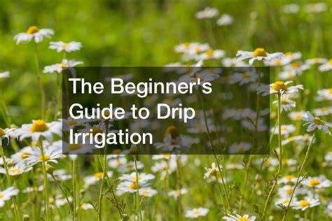 Beginners Guide to Drip Irrigation