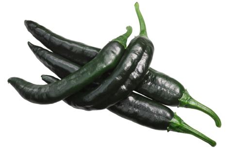 Chilaca Peppers: Family-friendly Mexican Chiles