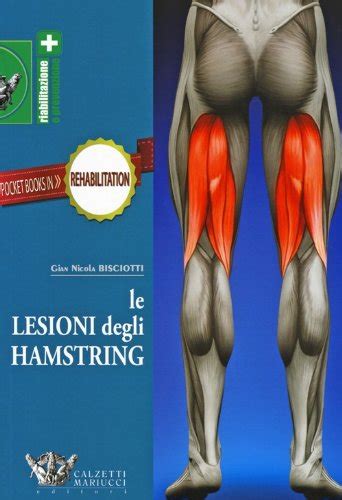 Le Lesioni Degli Hamstring Amazon Co Uk G Nicola Bisciotti