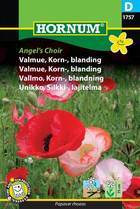 Valmue Korn Blanding Angels Choir Papaver Rhoeas Hagevenn No