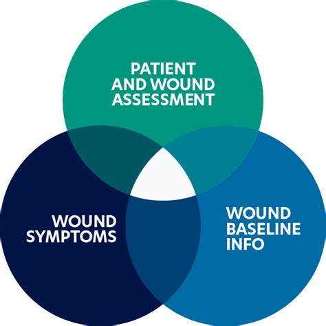 Wound Assessment Activheal® Academy