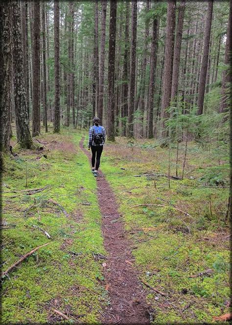 Umpqua National Forest Illahee Flat Trail 1532