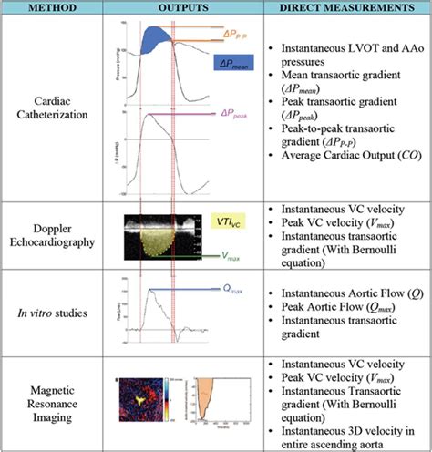 Accurate Assessment Of Aortic Stenosis Circulation