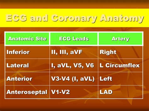 Ppt Cardiac Anatomy And Physiology Ii Powerpoint Presentation Free