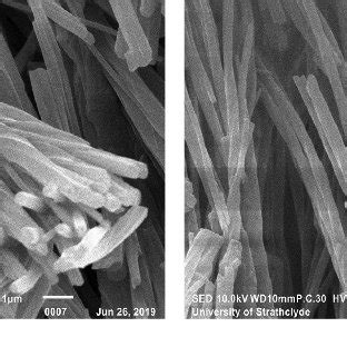 SEM Micrographs A And B Of Solution Grown OXCBZ III Showing The Clear