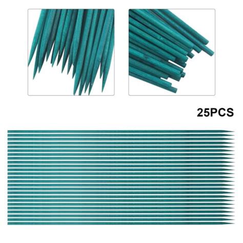 Lot De 25 Piquets De Soutien De Plante De Bambou Vert Pour Divers