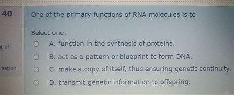 Solved 40 One of the primary functions of RNA molecules is | Chegg.com