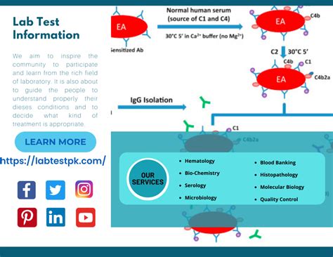 C4 Complement Test