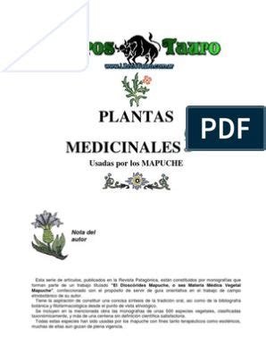 Tecnicas De Preparacion Y Uso De Hierbas Medicinales Pdf Plantas