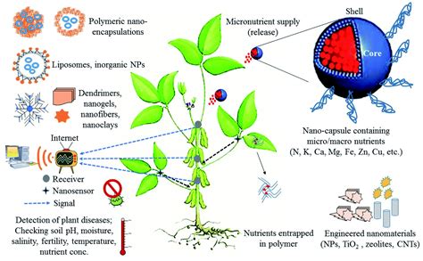 Recent Advances In The Applications Of Nano Agrochemicals For