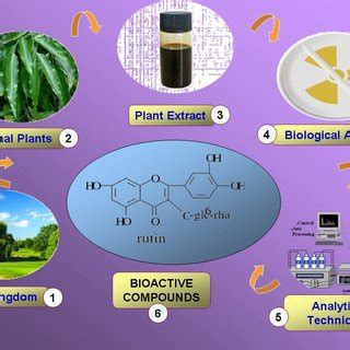 Scheme For The Isolation Of Bioactive Compound Reference Sasidharan S