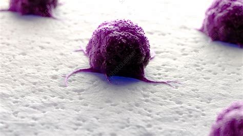 Illustration Of A Cancer Cell Stock Image F023 5019 Science Photo