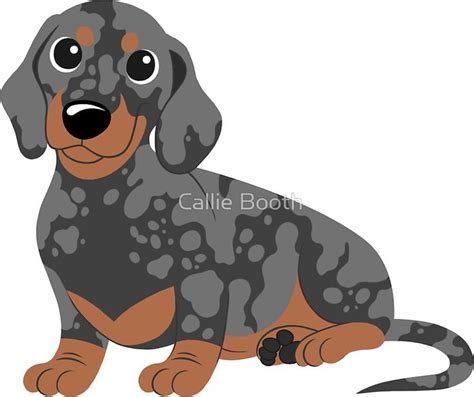 Miniature Dachshund Black Dapple Sticker By Callie Booth Miniature