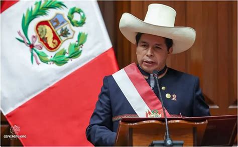 Descubre Lo Que Dice El Artículo 24 De La Constitución Del Perú