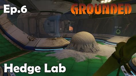 Berry Hedge Lab Grounded Ep Youtube