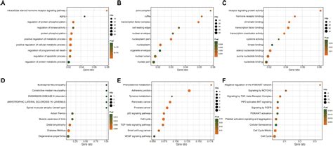 Systematic Genome Wide Mendelian Randomization Reveals The Causal Links