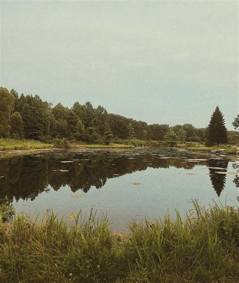 Film Photography: Gloomy Lake Aesthetic