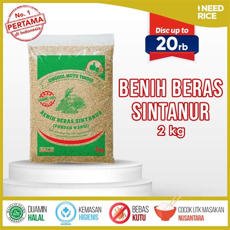 Jual Benih Padi Mentik Wangi Benih Padi Pandan Wangi 2kg Shopee