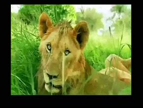 HARPER ISSACS Nude AZNude