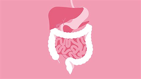 Cirurgia Oncológica Do Aparelho Digestivo Dr Diego Paim