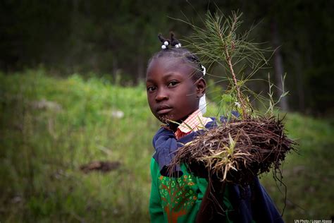 Programme Des Nations Unies Pour Lenvironnement On Twitter RT ONU