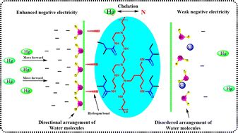 Water Insoluble Polyethyleneimine Adsorbents For The High Efficiency