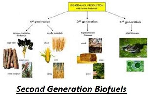 Second Generation Biofuels Market Segmented By Top