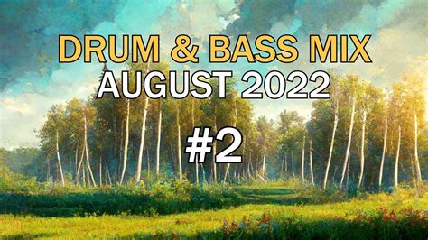 August 2022 Drum And Bass Mix 2 Ft 1991 Wilkinson Sub Focus Method Andromedik And More Youtube