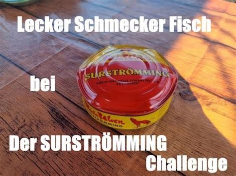 Lecker Schmecker Fisch Bei Der Surstr Mming Challenge Youtube