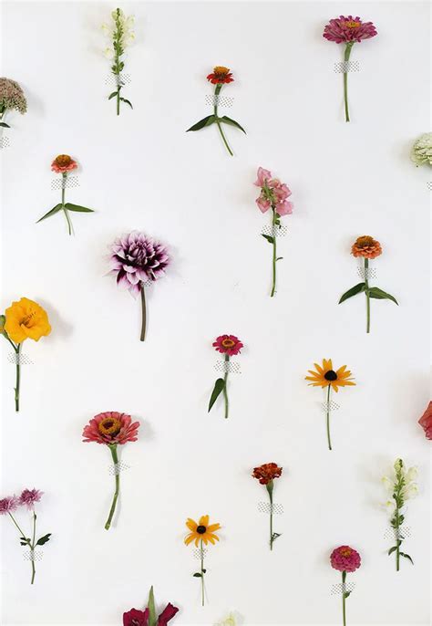 DIY Floral Wall Backdrop | Diy flower wall, Flower wall decor, Wall ...