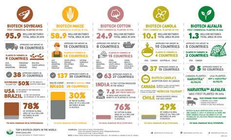 Where are GMO crops and animals approved and banned? - Genetic Literacy ...