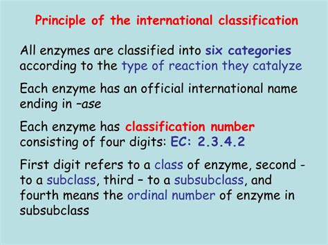 PPT - ENZYMES: CLASSIFICATION, STRUCTURE PowerPoint Presentation, free download - ID:3396577