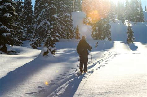 Pemberton Skiing Stock Photos, Pictures & Royalty-Free Images - iStock