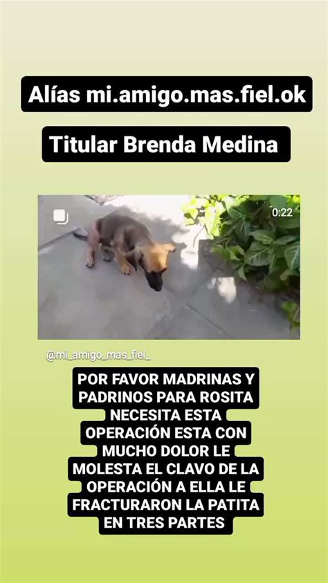 Mi Amigo Mas Fiel On Twitter RT Luna678 Por Favor Entre Todos