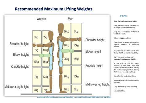 Weight Lifting Max Charts