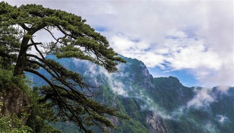 萍乡武功山风景名胜区正式荣获中国天然氧吧称号！ 迈点网