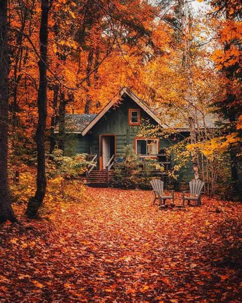 Cabin Folk On Instagram Here S Your Daily Does Of Fall Colour Tag