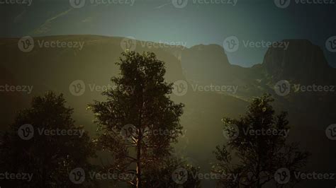 Pine trees and Huangshan mountains in China 5522839 Stock Photo at Vecteezy