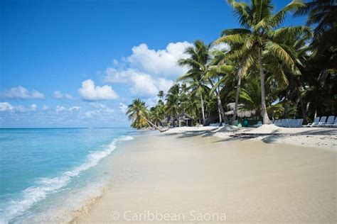 Excursión De Día Completo A La Isla Saona Con Barra Libre Y Almuerzo