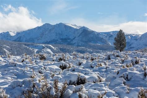 Premium Photo | Winter in sierra nevada