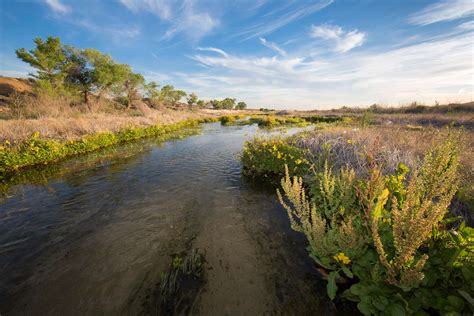 Mojave River - Western Rivers Conservancy