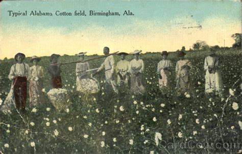 Typical Alabama Cotton Field Birmingham, AL Black Americana