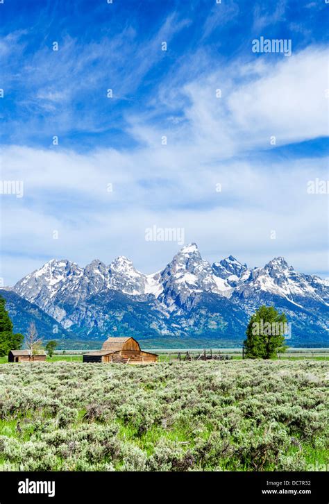 Historic Mormon Row Grand Teton National Park Jackson Hole Wyoming