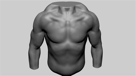 Artstation Male Torso 07 Resources