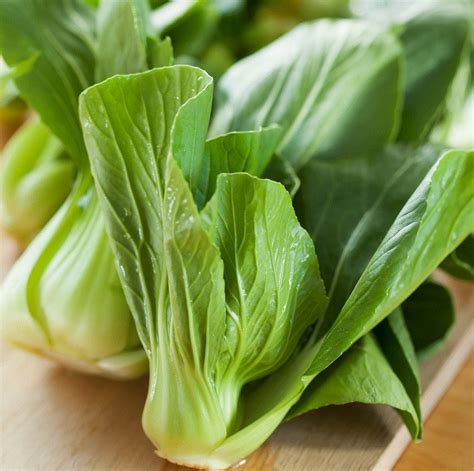 Varza Chinezeasca Pak Choi G Seminte